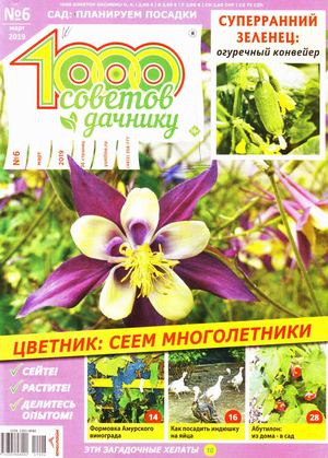1000 советов дачнику №6, март 2019 - Читать журналы и газеты онлайн бесплатно без регистрации | Печатные периодические издания на bookjurn.ru