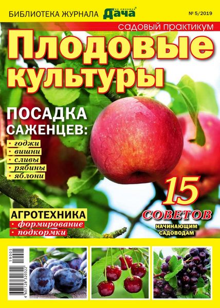 Библиотека журнала Моя любимая дача №5, 2019 - Читать журналы и газеты онлайн бесплатно без регистрации | Печатные периодические издания на bookjurn.ru