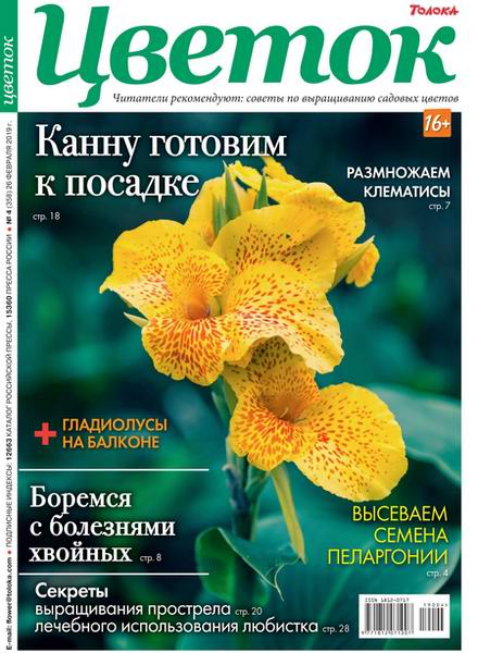 Цветок №4, февраль 2019 - Читать журналы и газеты онлайн бесплатно без регистрации | Печатные периодические издания на bookjurn.ru