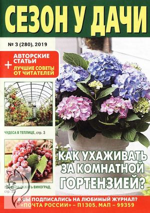 Сезон у дачи №3, февраль 2019 - Читать журналы и газеты онлайн бесплатно без регистрации | Печатные периодические издания на bookjurn.ru