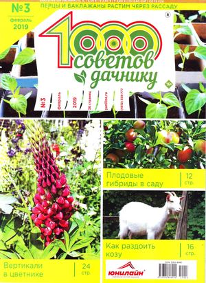 1000 советов дачнику №3, февраль 2019 - Читать журналы и газеты онлайн бесплатно без регистрации | Печатные периодические издания на bookjurn.ru
