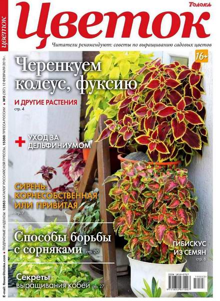 Цветок №3, февраль 2019 - Читать журналы и газеты онлайн бесплатно без регистрации | Печатные периодические издания на bookjurn.ru