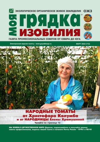Моя грядка изобилия, Выпуск 03 2022 - Читать журналы и газеты онлайн бесплатно без регистрации | Печатные периодические издания на bookjurn.ru