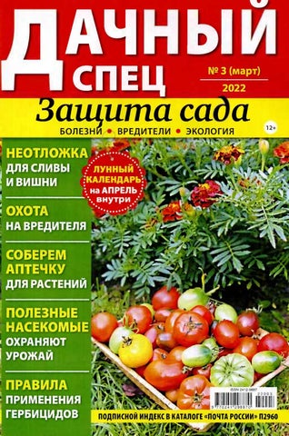 dachnspec032022 - Читать журналы и газеты онлайн бесплатно без регистрации | Печатные периодические издания на bookjurn.ru