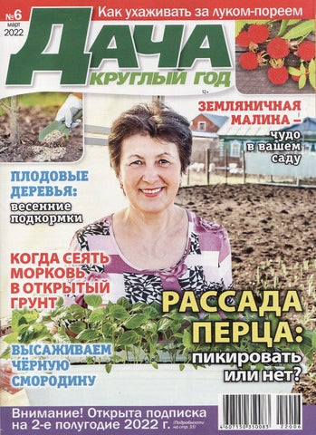 dachakruglgod_062022 - Читать журналы и газеты онлайн бесплатно без регистрации | Печатные периодические издания на bookjurn.ru