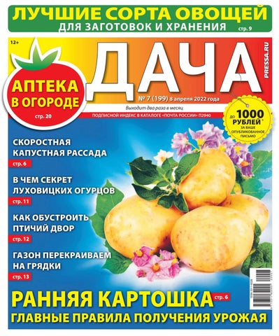 dacha_072022 - Читать журналы и газеты онлайн бесплатно без регистрации | Печатные периодические издания на bookjurn.ru