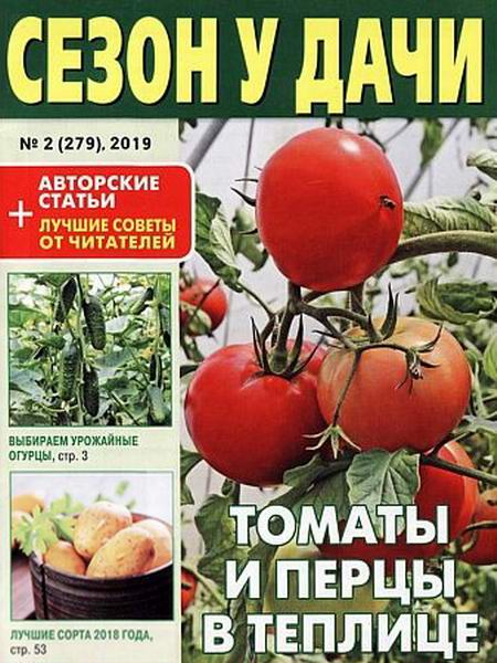 Сезон у дачи №2, январь 2019 - Читать журналы и газеты онлайн бесплатно без регистрации | Печатные периодические издания на bookjurn.ru