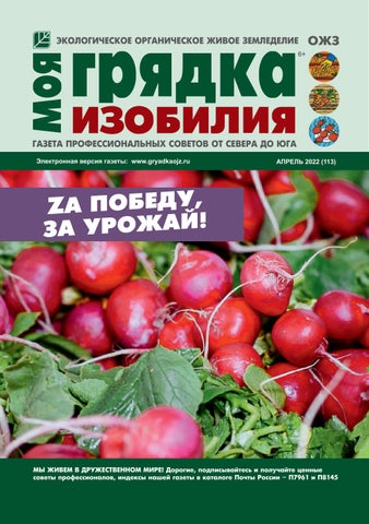 mojagradkaizob_042022 - Читать журналы и газеты онлайн бесплатно без регистрации | Печатные периодические издания на bookjurn.ru