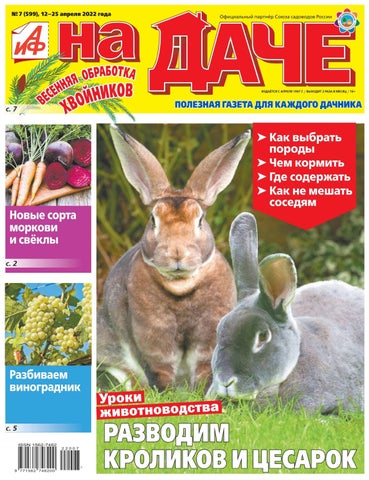 aifnadache_072022 - Читать журналы и газеты онлайн бесплатно без регистрации | Печатные периодические издания на bookjurn.ru