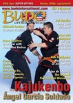 Martial Arts Magazine Budo International 449 April 2022 - Читать журналы и газеты онлайн бесплатно без регистрации | Печатные периодические издания на bookjurn.ru