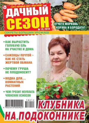 Дачный сезон №12, декабрь 2018 - Читать журналы и газеты онлайн бесплатно без регистрации | Печатные периодические издания на bookjurn.ru