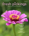 Fresh Pickings Magazine | Spring 2022 - Читать журналы и газеты онлайн бесплатно без регистрации | Печатные периодические издания на bookjurn.ru