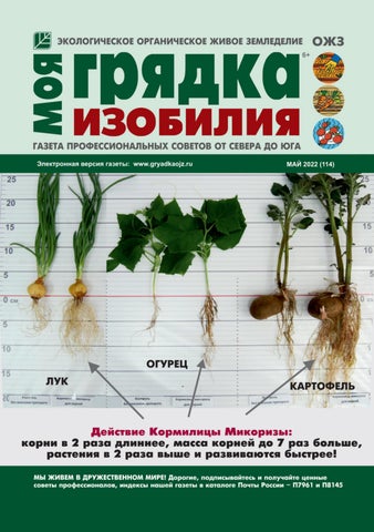 Моя грядка изобилия, Выпуск 05 2022 - Читать журналы и газеты онлайн бесплатно без регистрации | Печатные периодические издания на bookjurn.ru