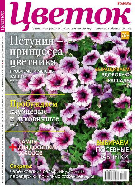 Цветок №2, январь 2019 - Читать журналы и газеты онлайн бесплатно без регистрации | Печатные периодические издания на bookjurn.ru