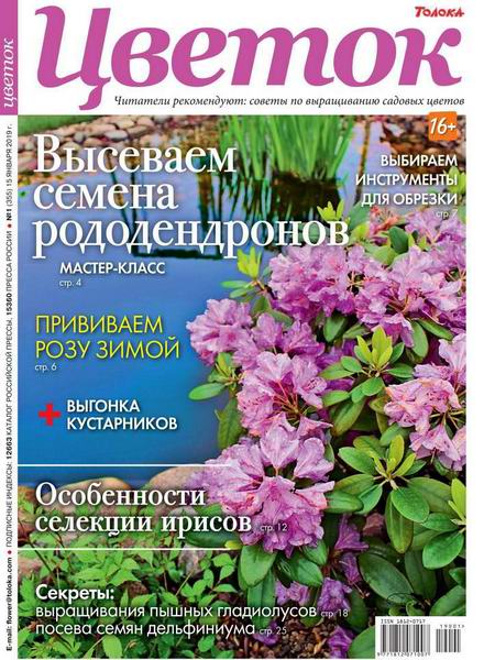 Цветок №1, январь 2019 - Читать журналы и газеты онлайн бесплатно без регистрации | Печатные периодические издания на bookjurn.ru