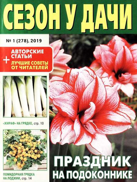 Сезон у дачи №1, январь 2019 - Читать журналы и газеты онлайн бесплатно без регистрации | Печатные периодические издания на bookjurn.ru
