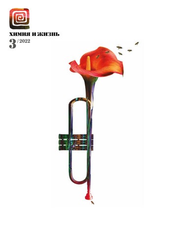 Химия и жизнь №3, 2022 - Читать журналы и газеты онлайн бесплатно без регистрации | Печатные периодические издания на bookjurn.ru