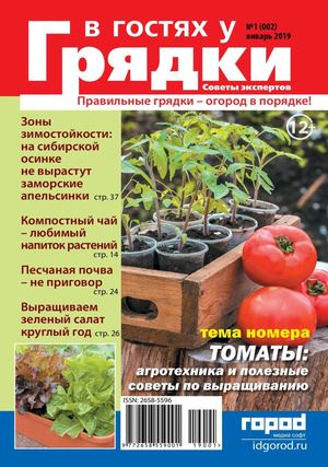 В гостях у грядки №1, январь 2019 - Читать журналы и газеты онлайн бесплатно без регистрации | Печатные периодические издания на bookjurn.ru
