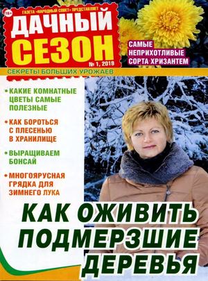 Дачный сезон №1, январь 2019 - Читать журналы и газеты онлайн бесплатно без регистрации | Печатные периодические издания на bookjurn.ru