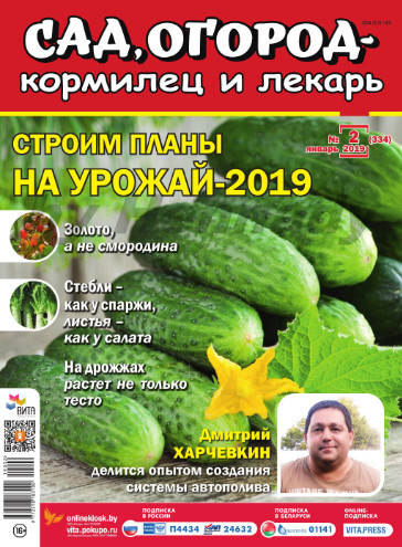Сад, огород – кормилец и лекарь №2, январь 2019 - Читать журналы и газеты онлайн бесплатно без регистрации | Печатные периодические издания на bookjurn.ru