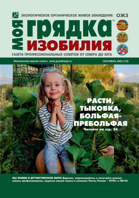 Моя грядка изобилия №9, сентябрь 2022 - Читать журналы и газеты онлайн бесплатно без регистрации | Печатные периодические издания на bookjurn.ru