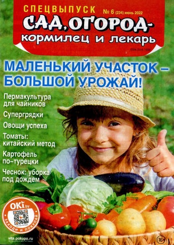 sokil_06sv22 - Читать журналы и газеты онлайн бесплатно без регистрации | Печатные периодические издания на bookjurn.ru