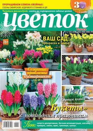 Цветок №24, декабрь 2018 - Читать журналы и газеты онлайн бесплатно без регистрации | Печатные периодические издания на bookjurn.ru