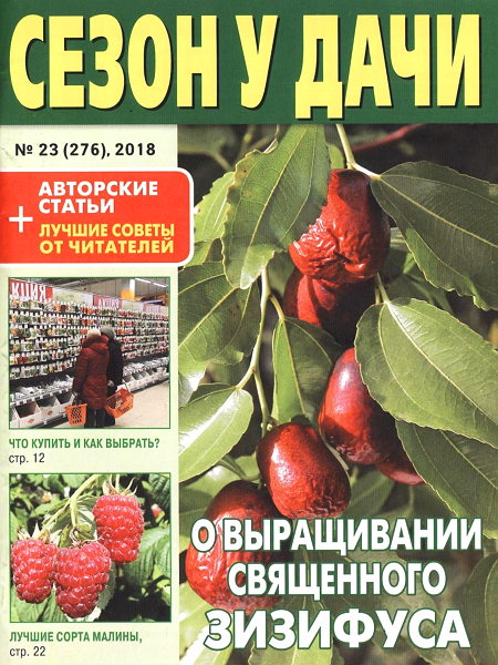 Сезон у дачи №23, декабрь 2018 - Читать журналы и газеты онлайн бесплатно без регистрации | Печатные периодические издания на bookjurn.ru