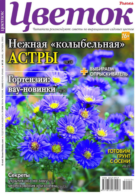Цветок №20, октябрь 2022 - Читать журналы и газеты онлайн бесплатно без регистрации | Печатные периодические издания на bookjurn.ru