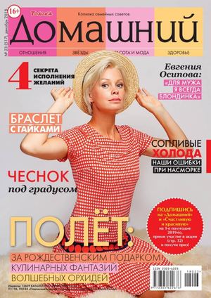 Домашний №23, декабрь 2018 - Читать журналы и газеты онлайн бесплатно без регистрации | Печатные периодические издания на bookjurn.ru