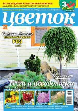 Цветок №23, декабрь 2018 - Читать журналы и газеты онлайн бесплатно без регистрации | Печатные периодические издания на bookjurn.ru