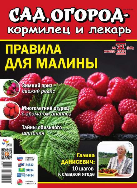 Сад, огород – кормилец и лекарь №21, ноябрь 2018 - Читать журналы и газеты онлайн бесплатно без регистрации | Печатные периодические издания на bookjurn.ru