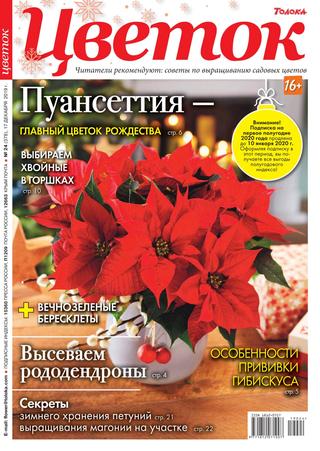 Цветок №24, декабрь 2019 - Читать журналы и газеты онлайн бесплатно без регистрации | Печатные периодические издания на bookjurn.ru