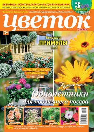 Цветок №22, ноябрь 2018 - Читать журналы и газеты онлайн бесплатно без регистрации | Печатные периодические издания на bookjurn.ru
