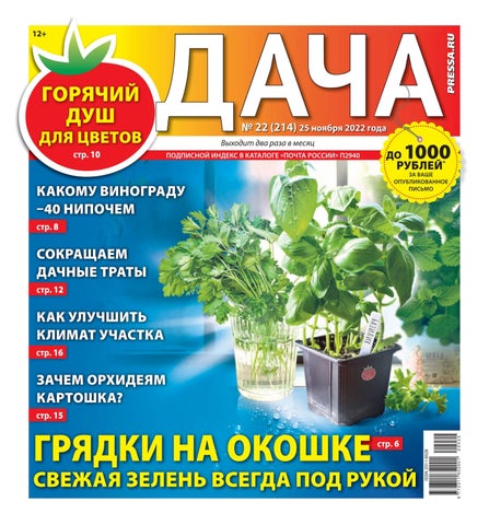 dacha_222022 - Читать журналы и газеты онлайн бесплатно без регистрации | Печатные периодические издания на bookjurn.ru