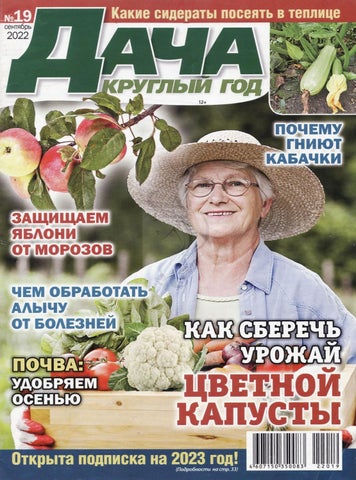 dachakruglgod_192022 - Читать журналы и газеты онлайн бесплатно без регистрации | Печатные периодические издания на bookjurn.ru