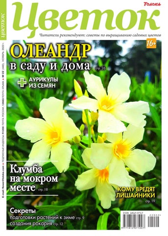 tsvetok_222022 - Читать журналы и газеты онлайн бесплатно без регистрации | Печатные периодические издания на bookjurn.ru