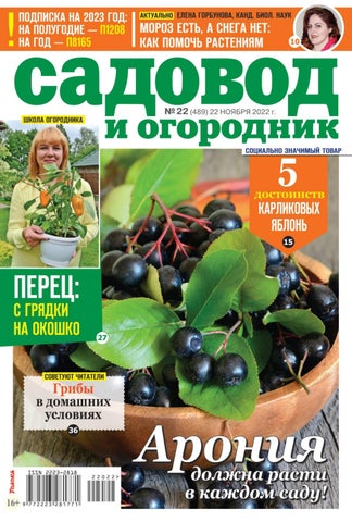 sio_222022 - Читать журналы и газеты онлайн бесплатно без регистрации | Печатные периодические издания на bookjurn.ru