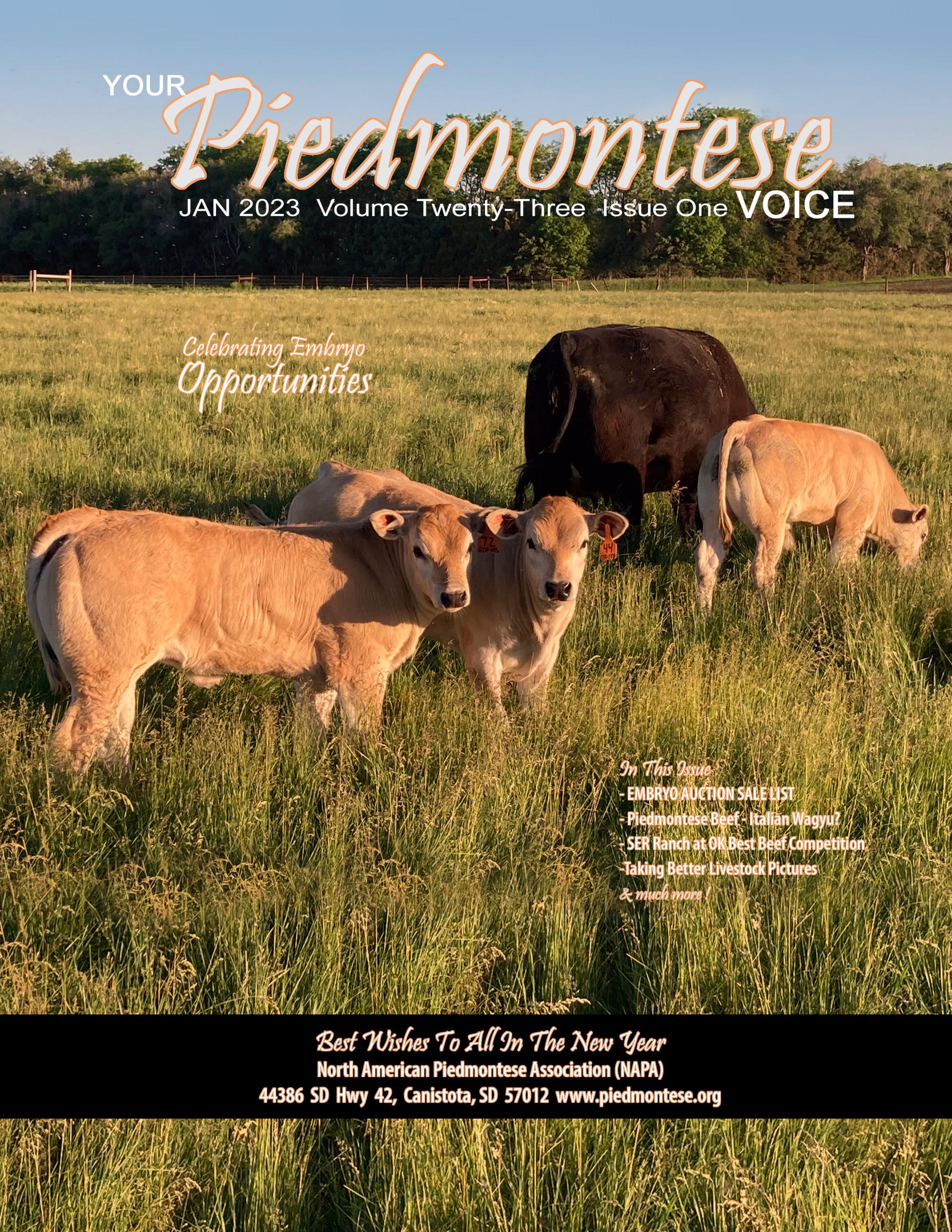 Piedmontese Beef Cattle Magazine Jan 2023 - Читать журналы и газеты онлайн бесплатно без регистрации | Печатные периодические издания на bookjurn.ru