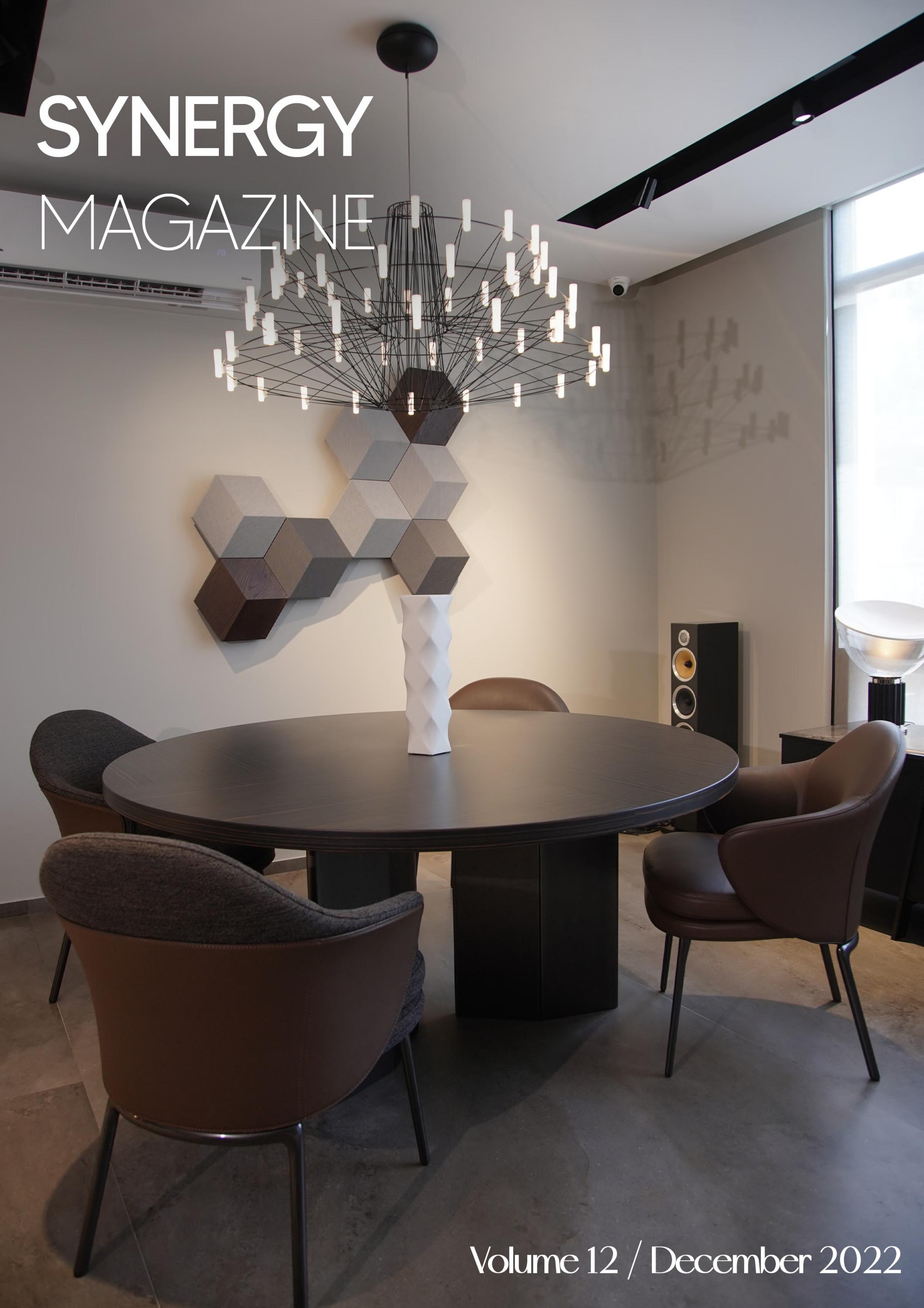 Synergy Magazine Vol. 12 December 2022 - Читать журналы и газеты онлайн бесплатно без регистрации | Печатные периодические издания на bookjurn.ru