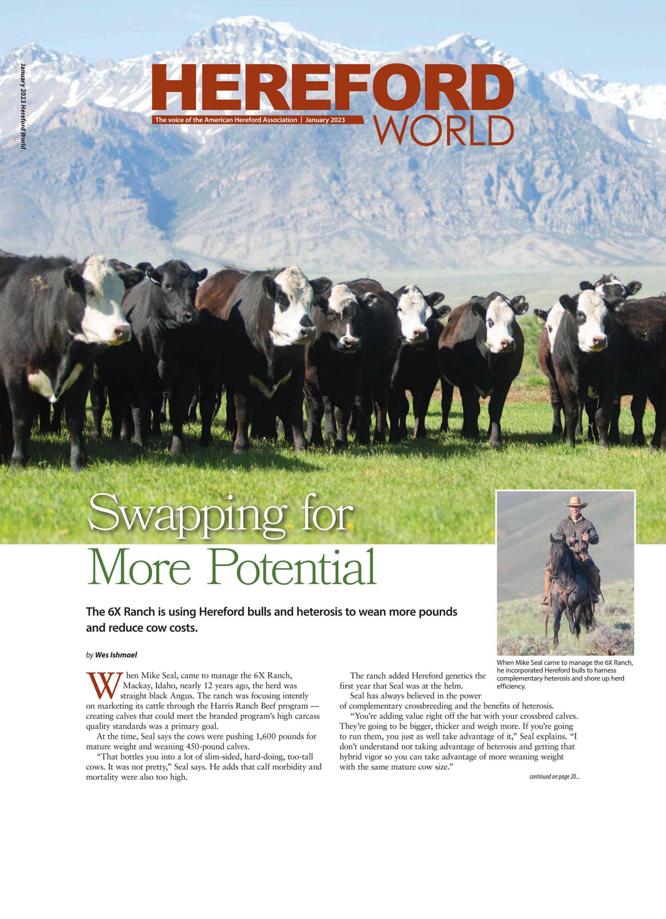 January 2023 Hereford World Magazine - Читать журналы и газеты онлайн бесплатно без регистрации | Печатные периодические издания на bookjurn.ru