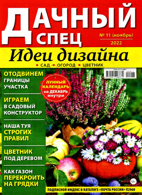 Дачный спец №11, ноябрь 2022 - Читать журналы и газеты онлайн бесплатно без регистрации | Печатные периодические издания на bookjurn.ru