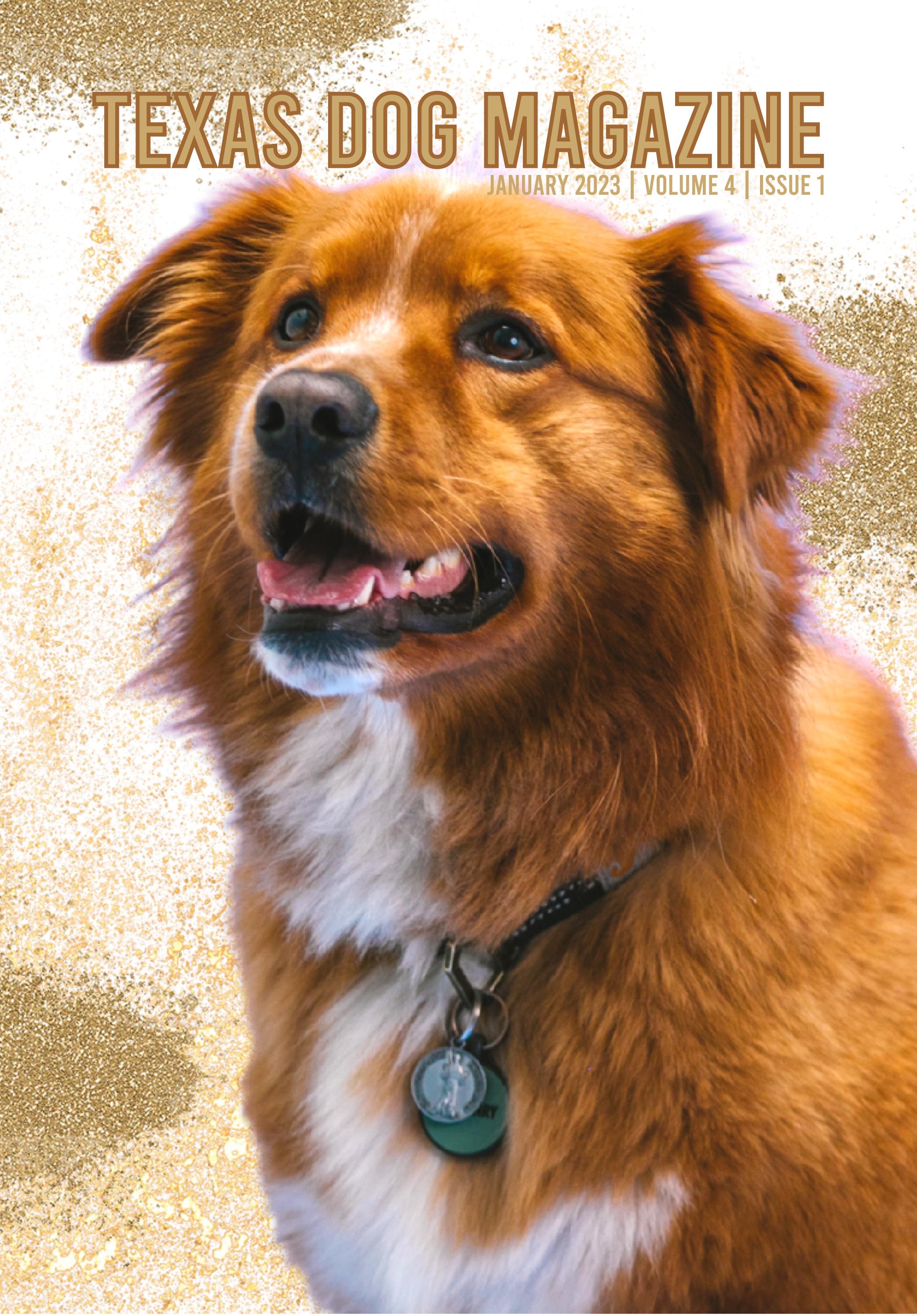 Texas Dog Magazine | January 2023 - Читать журналы и газеты онлайн бесплатно без регистрации | Печатные периодические издания на bookjurn.ru