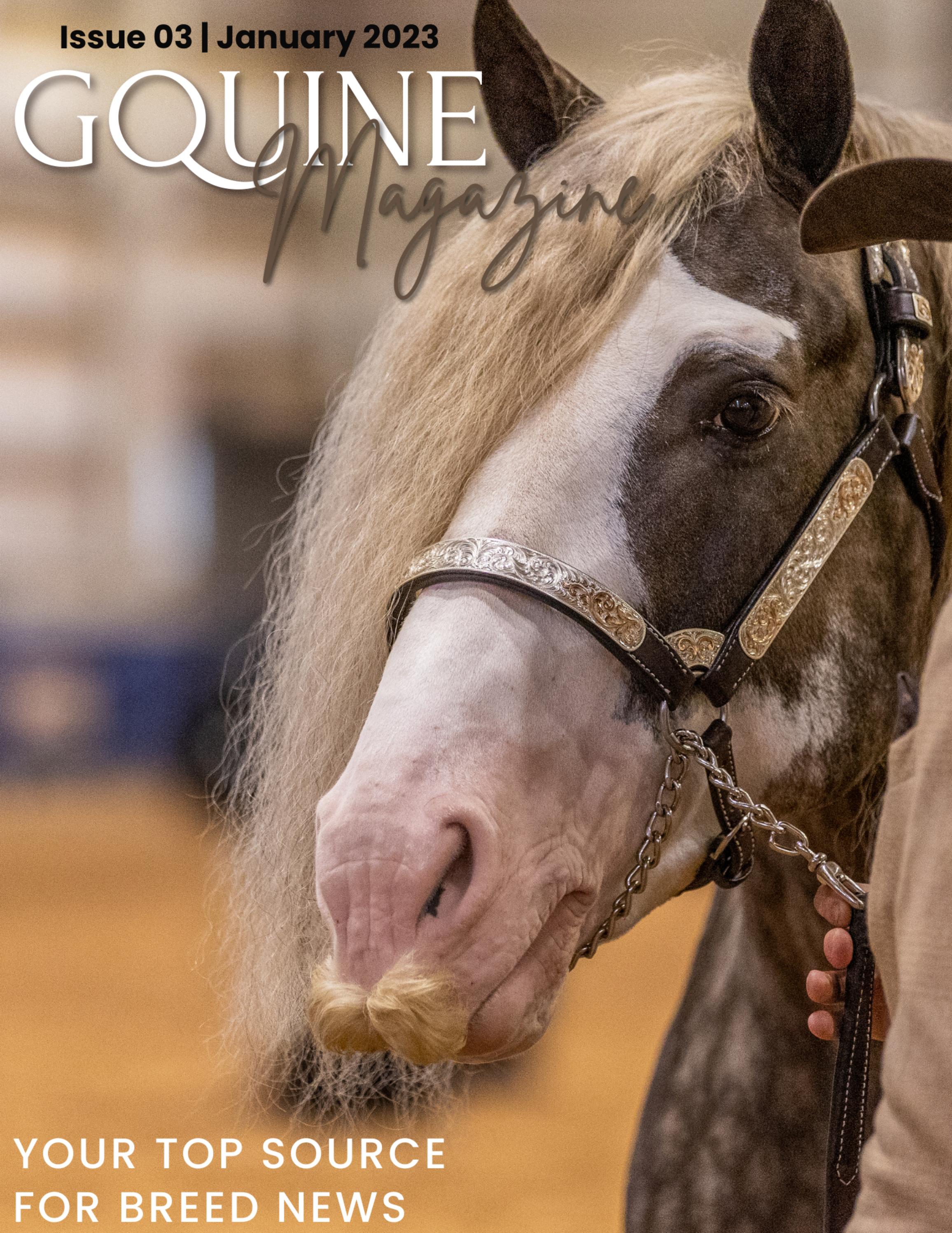 Gquine Magazine - January 2023 - Читать журналы и газеты онлайн бесплатно без регистрации | Печатные периодические издания на bookjurn.ru