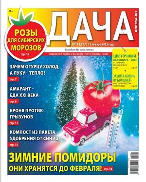 Дача №1, январь 2023 - Читать журналы и газеты онлайн бесплатно без регистрации | Печатные периодические издания на bookjurn.ru