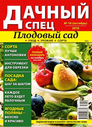 Дачный спец №10, октябрь 2018 - Читать журналы и газеты онлайн бесплатно без регистрации | Печатные периодические издания на bookjurn.ru