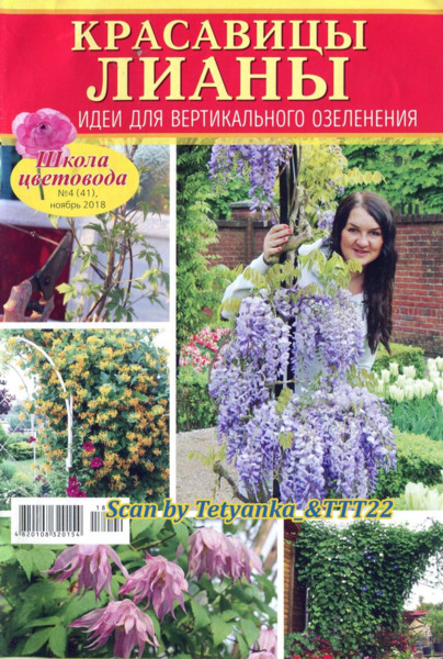 Школа цветовода №4, ноябрь 2018 - Читать журналы и газеты онлайн бесплатно без регистрации | Печатные периодические издания на bookjurn.ru