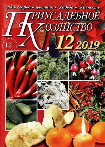 Приусадебное хозяйство №12, декабрь 2019 - Читать журналы и газеты онлайн бесплатно без регистрации | Печатные периодические издания на bookjurn.ru