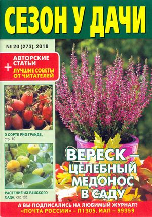 Сезон у дачи №20, октябрь 2018 - Читать журналы и газеты онлайн бесплатно без регистрации | Печатные периодические издания на bookjurn.ru