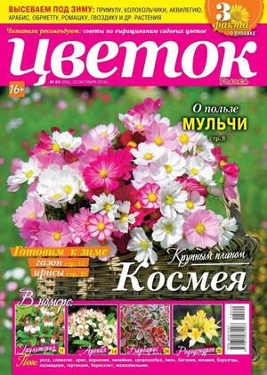 Цветок №20, октябрь 2018 - Читать журналы и газеты онлайн бесплатно без регистрации | Печатные периодические издания на bookjurn.ru